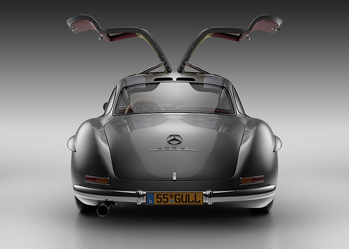 TED300sl-GULLWING-BACK