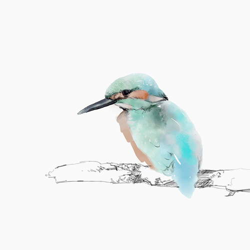 Kingfisher_martin-pecheur