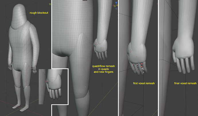 character_voxelremesh