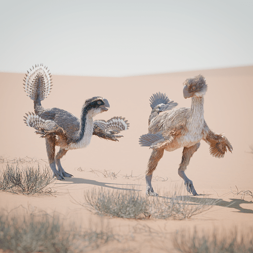 courtship_square_0001