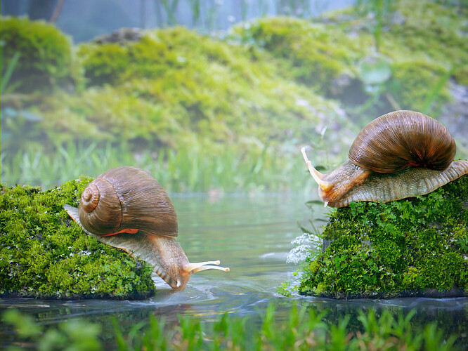 Snail drinking water