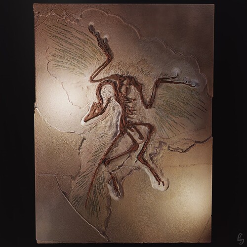 Archaeopteryx Cast 3D -4- Berlin Specimen
