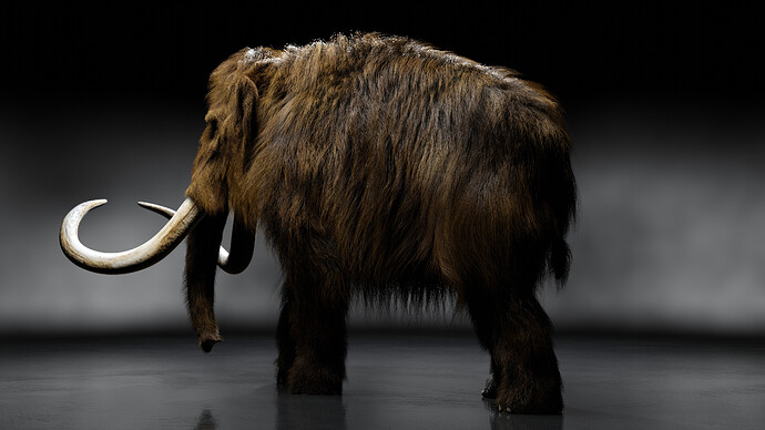 Mammoth_Fur_Test_003