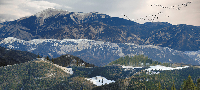 Mountains of Austriays