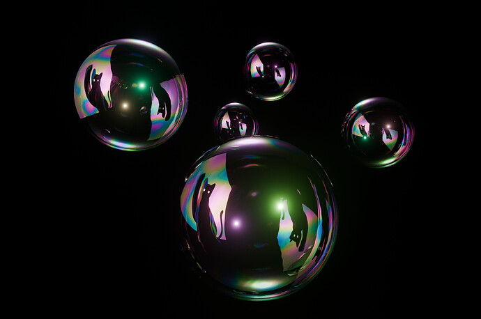 cat and soap bubbles 6