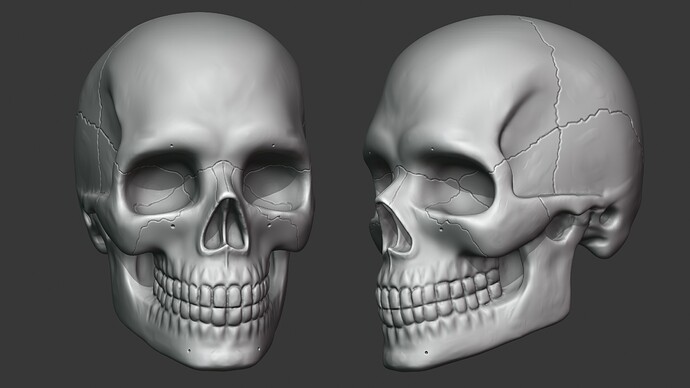 Skull 11