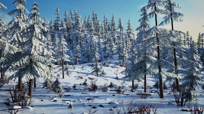 Winter Forest 5