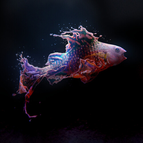 FishSplash1