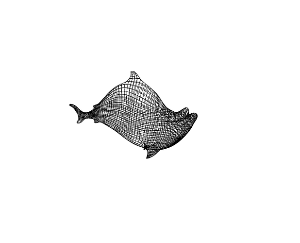 Wireframe