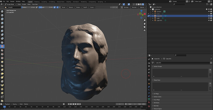 Blender_ C__Users_hoffb_Desktop_New folder (3)_bust_bust.blend 2_4_2022 1_21_13 AM