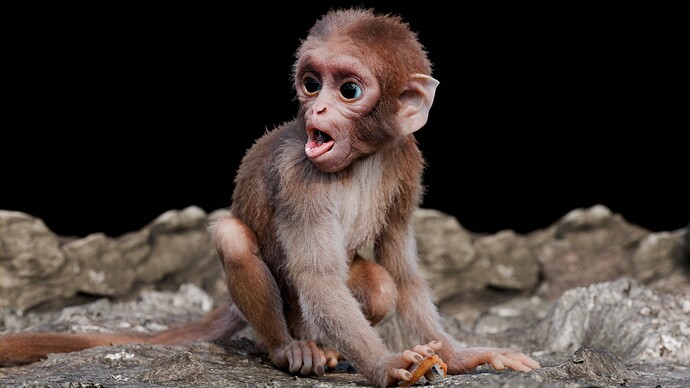 Baby monkey2