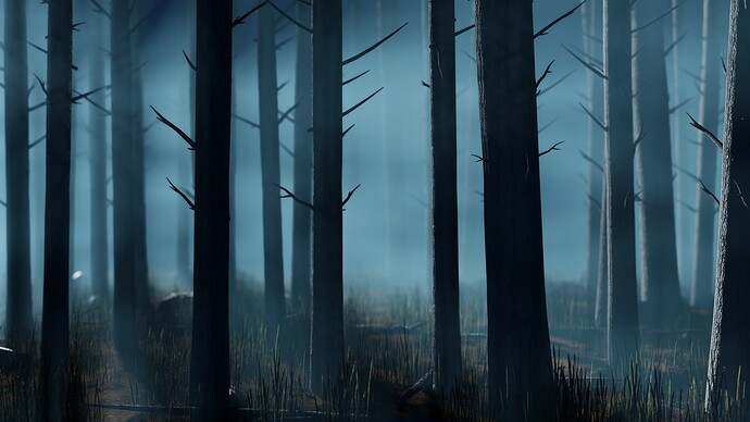 pine_forest_3