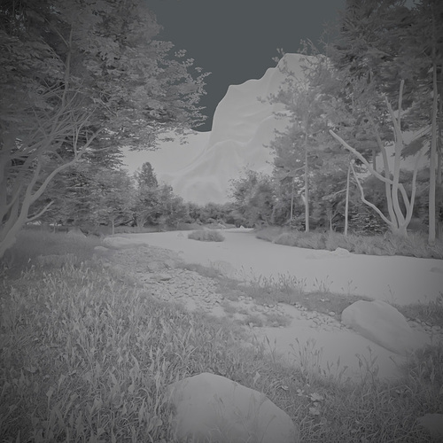 the_forest_river_clay