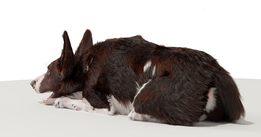 BexRender7 copy