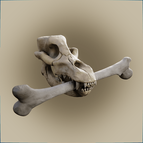 Skull and Bones9