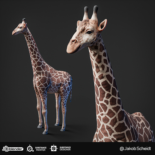 Giraffe_01