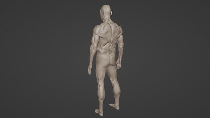 male-wip 2