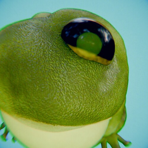froggo_hoggo