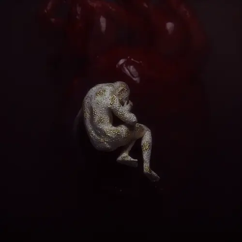 CompositionFetal_6
