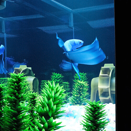 Aquario_002_final