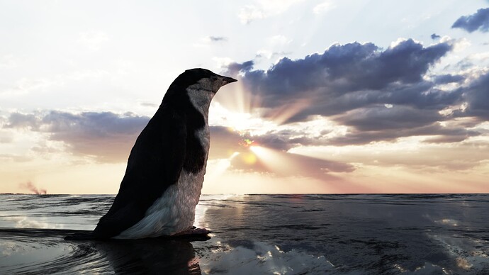 pinguin5