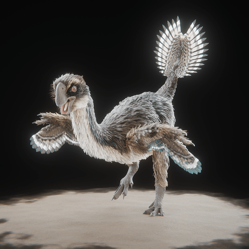 male_0004