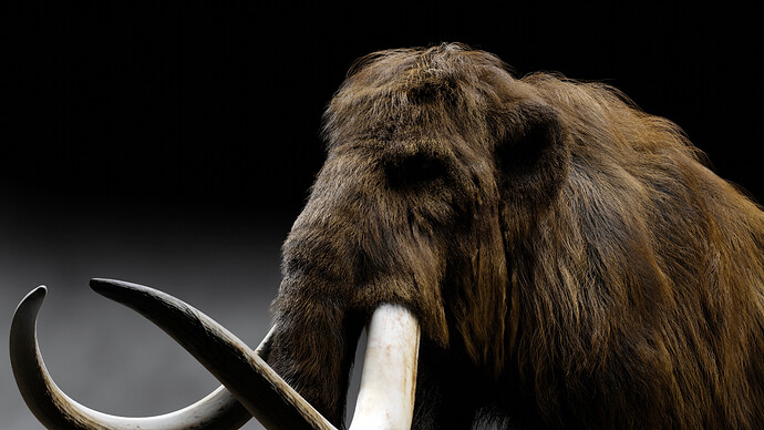 Mammoth_Fur_Test_004