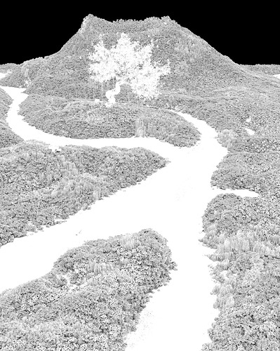 IMG-20200729-WA0000