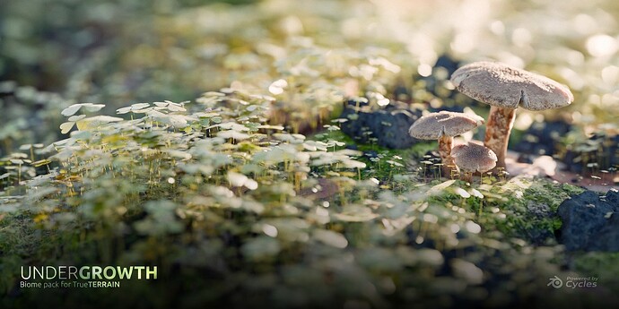Blender Invironment Renders Ultimate Photorealistic Environment Pack for Blender by True-VFX ...