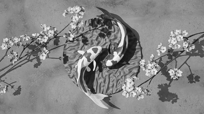 koi fish (2)