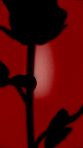 vlcsnap-2026-07-14-21h43m35s275