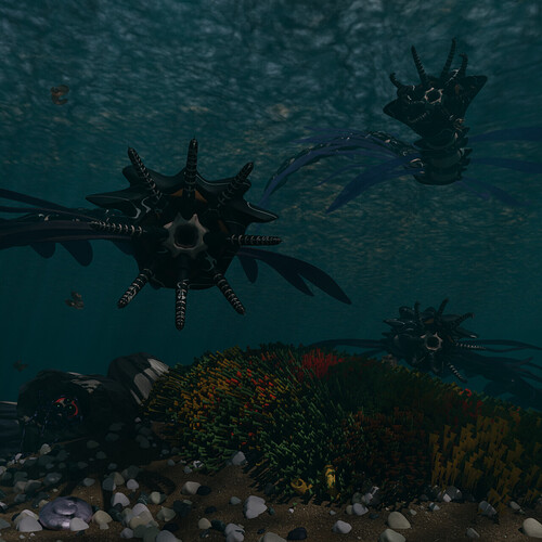 SeaWolves