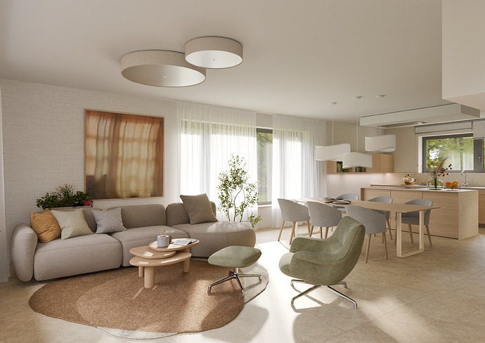 Living-Room-Kitchen-001-015