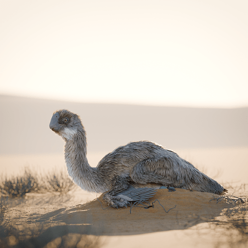 brooding_square_0001