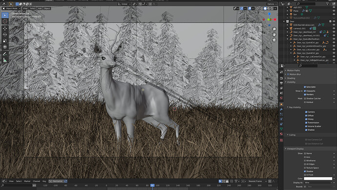 viewport