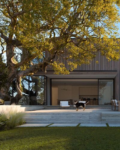 render
