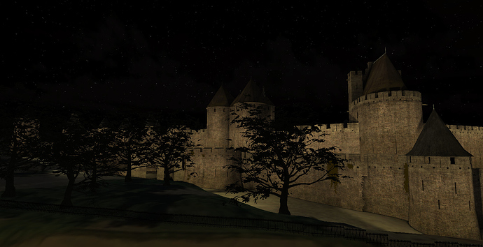 carcassonne3D_nuit_saint-louis2