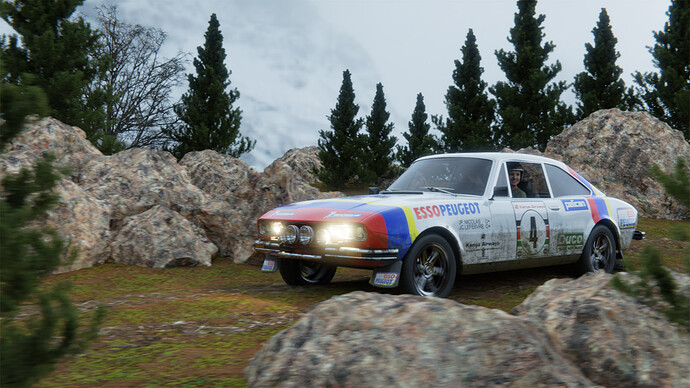 Peugeot_504_RallyB