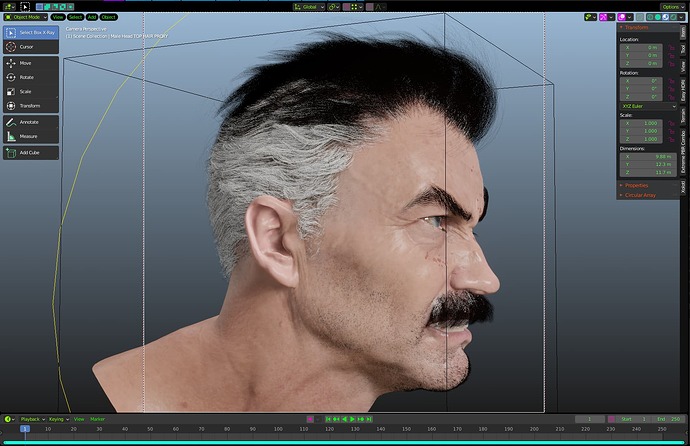 Andrew_Hwang_Omni_HomeL_WIP_ (1).PNG
