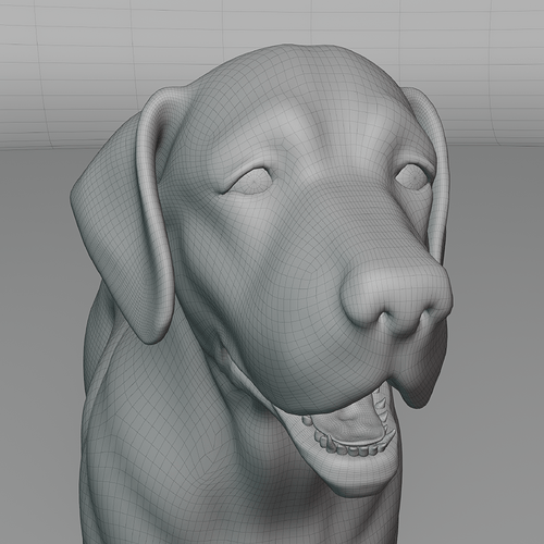 Dog_Golden_05