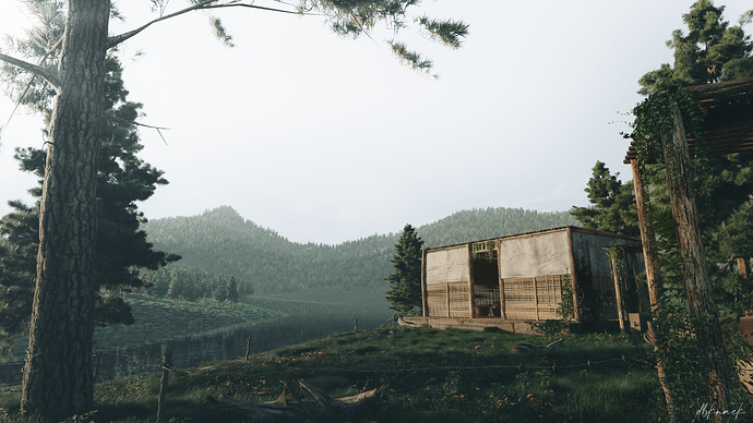 cabin in woods_.1