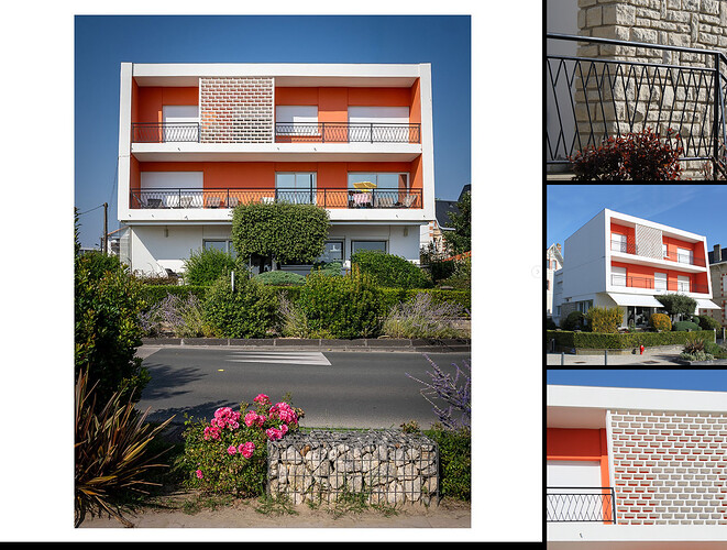 reference images