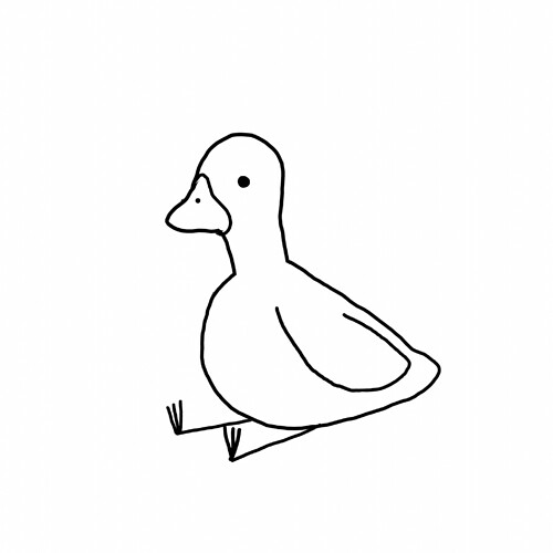 22.02.20 Duck (static)