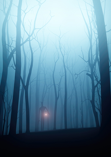 Foggy_Woods_Post