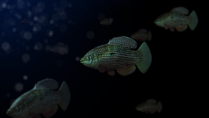 The_Flagfish