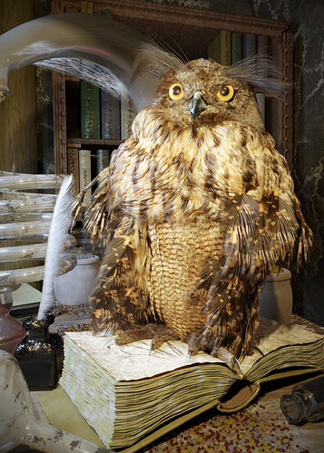 owl_small