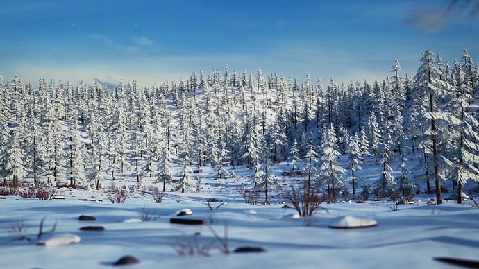 Winter Forest 8