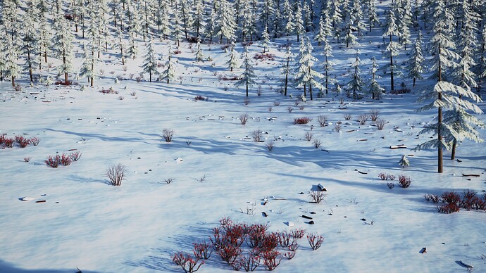 Winter Forest 11
