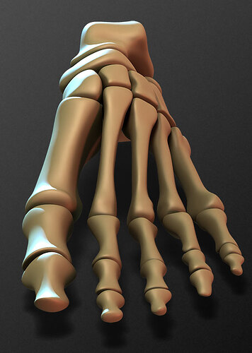 handbones_BA_thumb