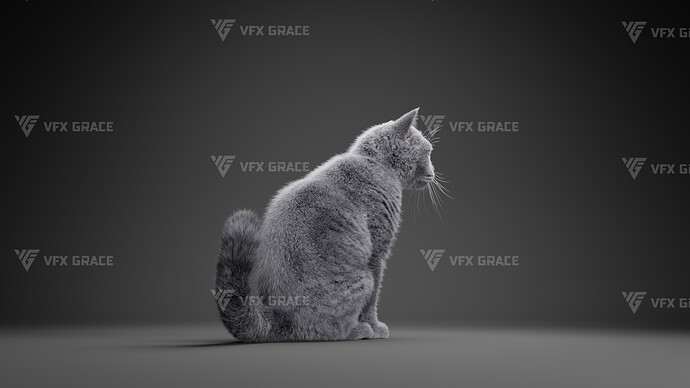 JF0O740A_BritishShorthair_Effect map06